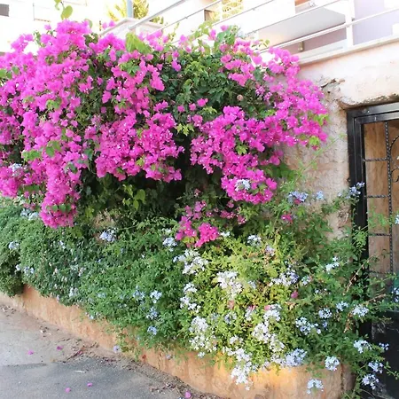 Sunrise Villas Kalkan *